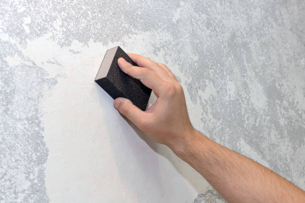  Shoshone, ID Mold Removal Pros