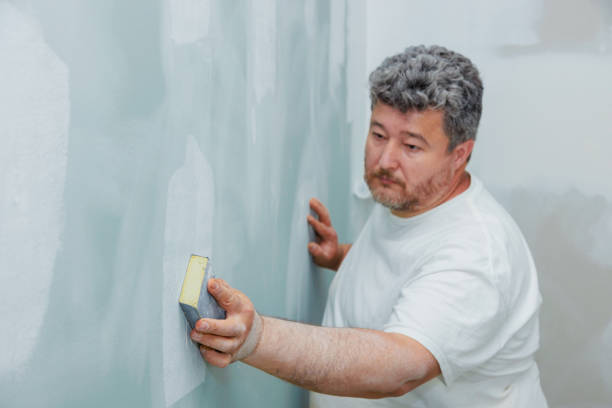 Best Attic Mold Removal  in Shoshone, ID